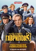 Инспектор Гаврилов