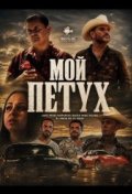 Мой петух