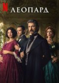 Леопард