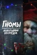 Гномы. Новогодний беспредел