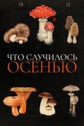Что случилось осенью