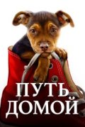 Путь домой