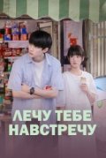 Лечу тебе навстречу