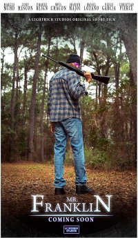 Мистер Франклин